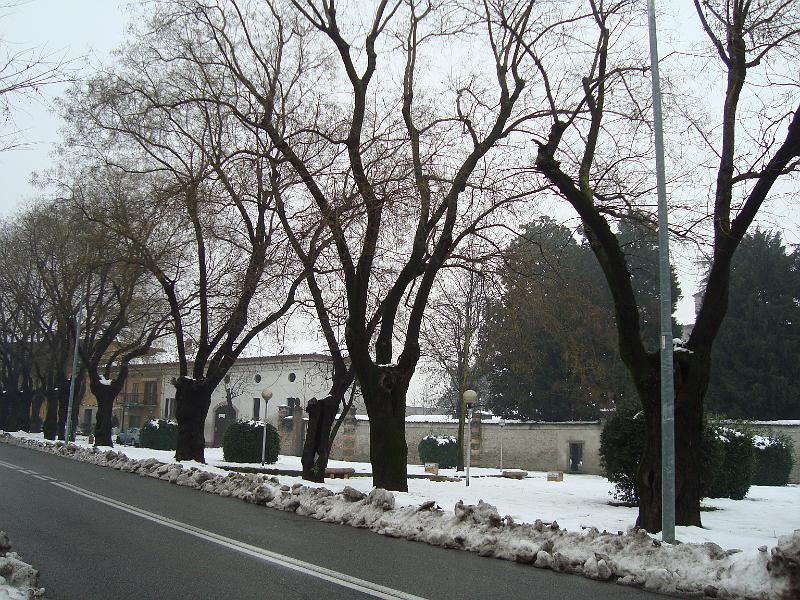 25.JPG